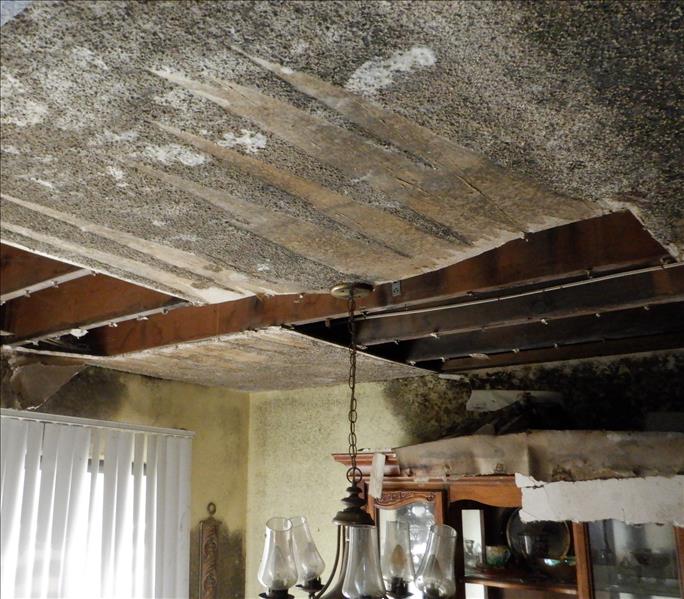 A room full of mold from ceiling, which is caved partially in, to all the walls speckled in a grayish green