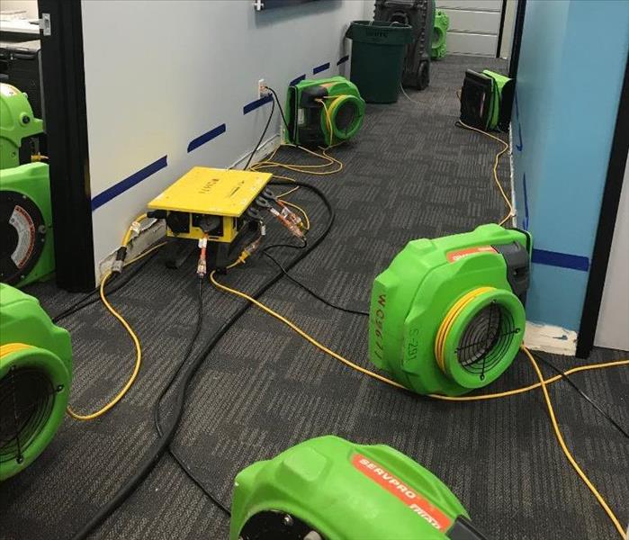 Our bright lime green drying equipment is placed in wet hallway and rooms of a local business that called for help.