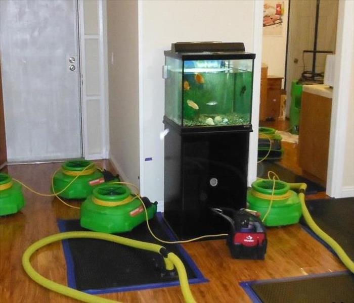 A room with wet floors and walls have professional drying machines placed all around to the edges to effectively dry it all