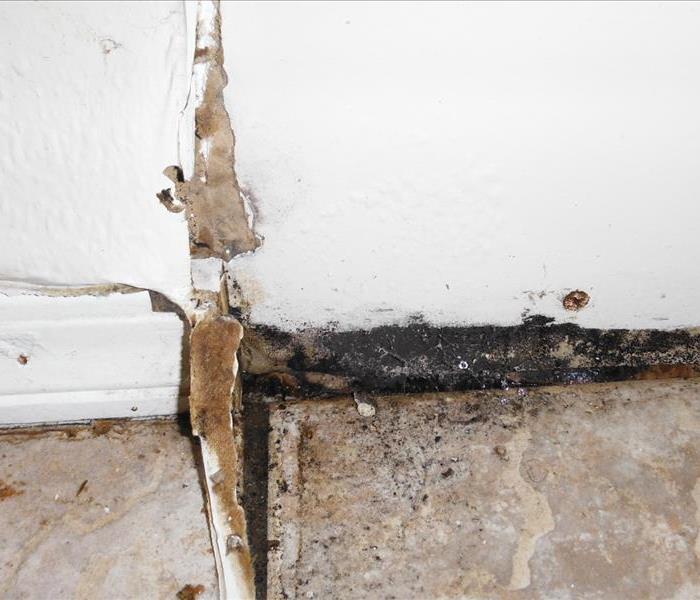 Flood water with dirt and debris covers tile floor. Half the baseboard is removed reveling mold behind it on the wall. 